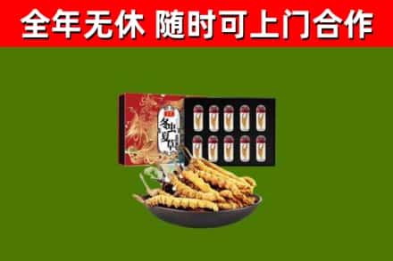 噶尔县回收冬虫夏草价格